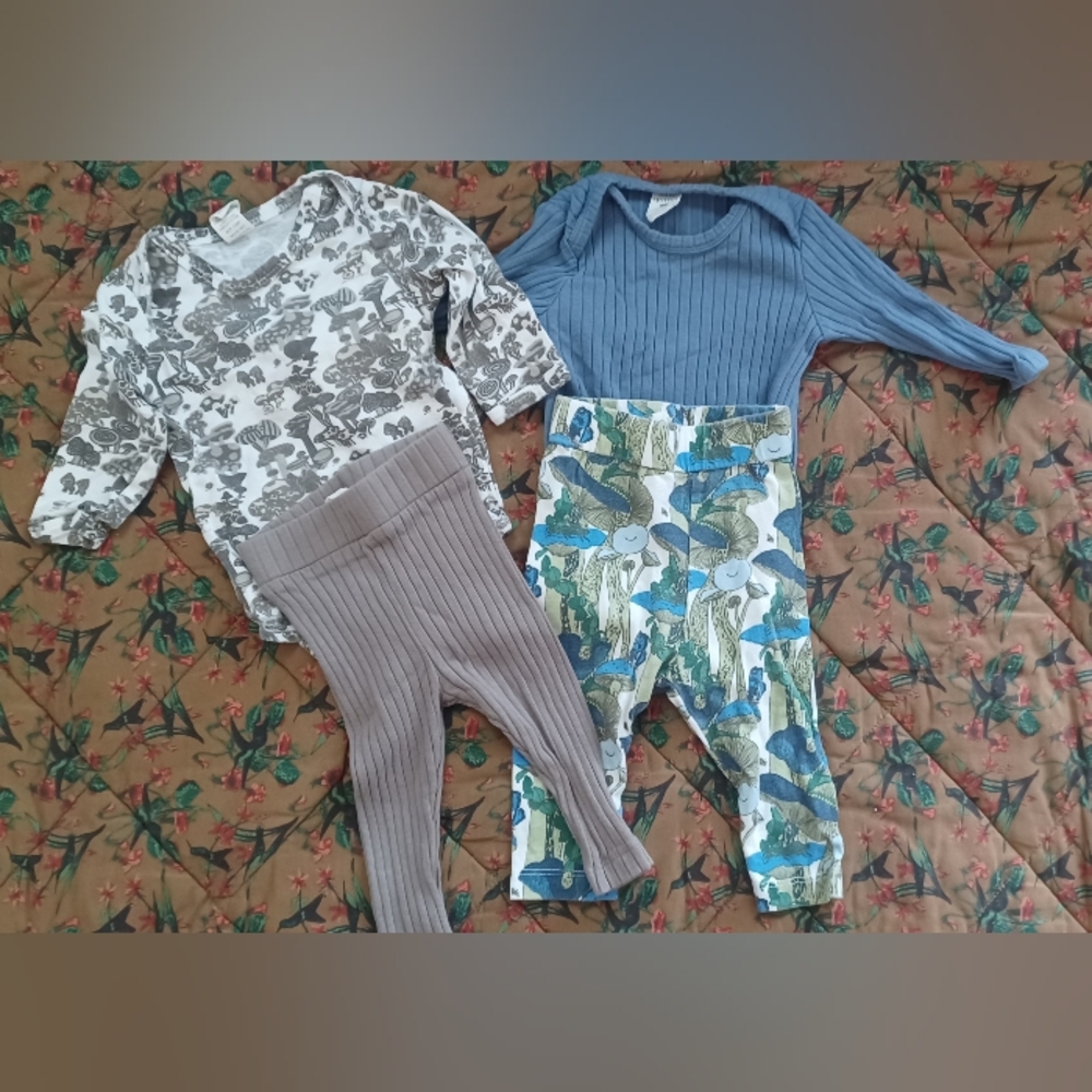 Kate Quinn Bundle